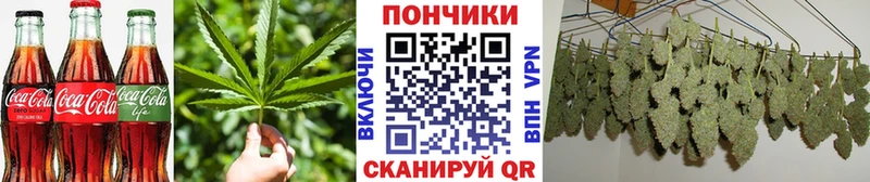 Cannafood марихуана  где найти   Луза 