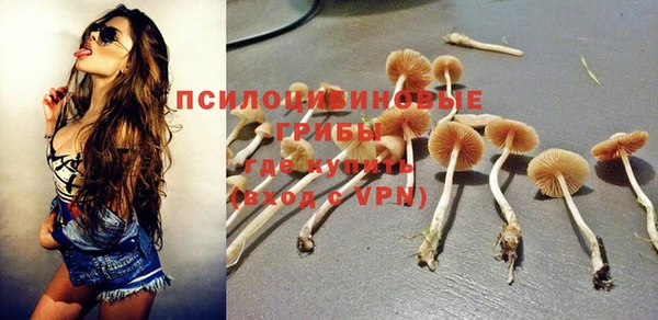 MDMA Алексин