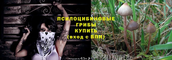 амфетамин Алексеевка